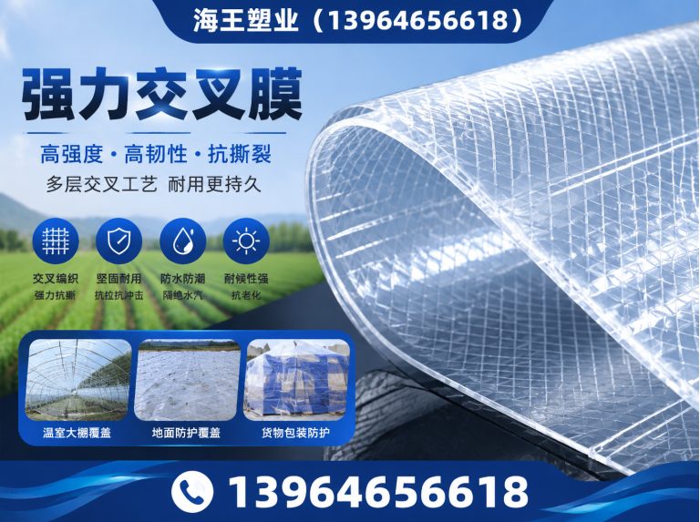 坊子区离型膜展示图